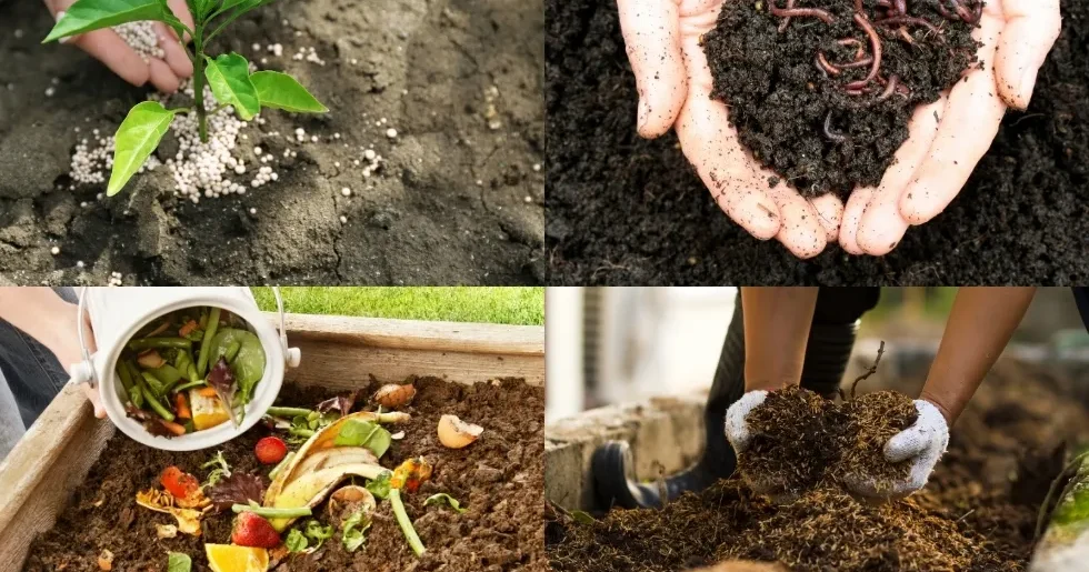 Các loại phân bón hữu cơ phổ biến trên thị trường