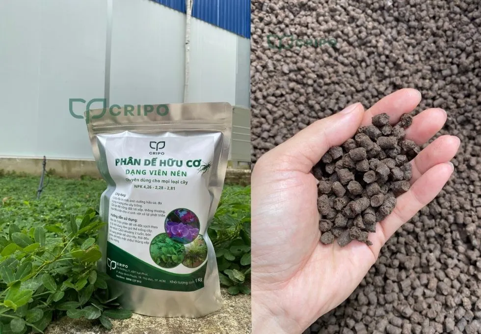 Cripo cung cấp phân dế cả sỉ và lẻ, đáp ứng nhu cầu của khách hàng trên toàn quốc