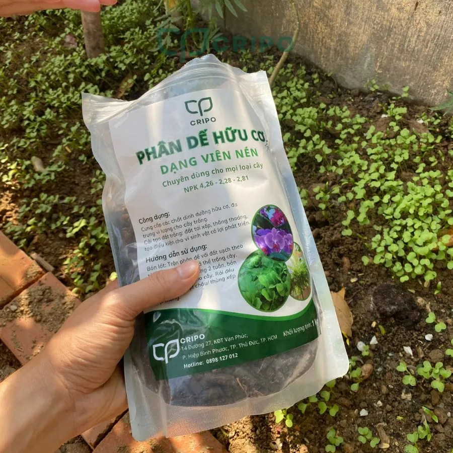 Phân dế viên nén 02