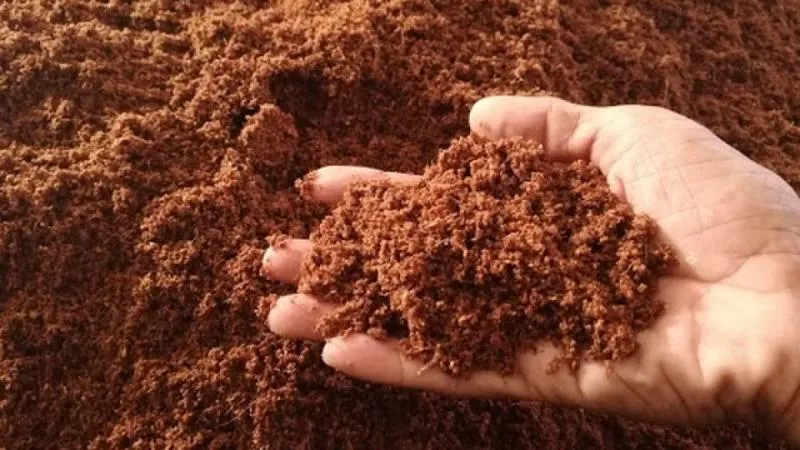 Các loại đất trồng phổ biến ở Việt Nam - Đất thịt
