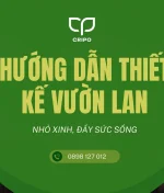Hướng dẫn thiết kế vườn lan nhỏ xinh, đầy sức sống