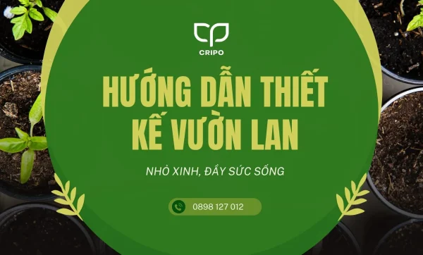 Hướng dẫn thiết kế vườn lan nhỏ xinh, đầy sức sống