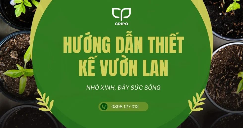 Hướng dẫn thiết kế vườn lan nhỏ xinh, đầy sức sống