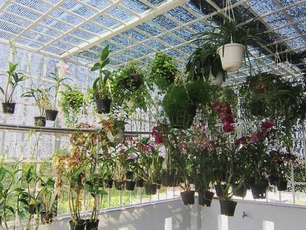 Một số phong cách thiết kế vườn lan đẹp - Vườn lan treo
