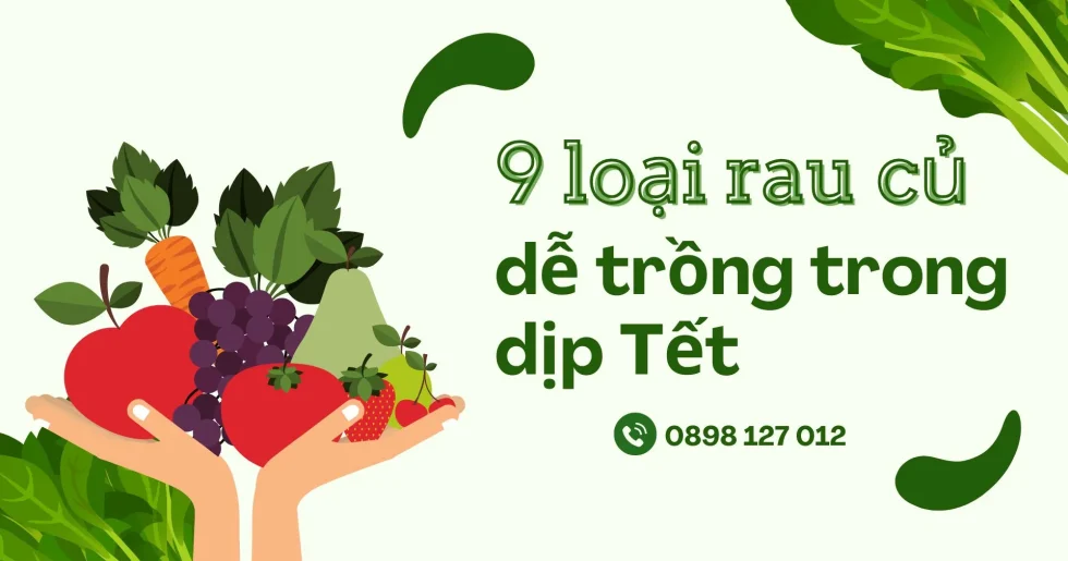 9 loại rau củ dễ trồng giúp bạn tiết kiệm chi phí chợ Tết