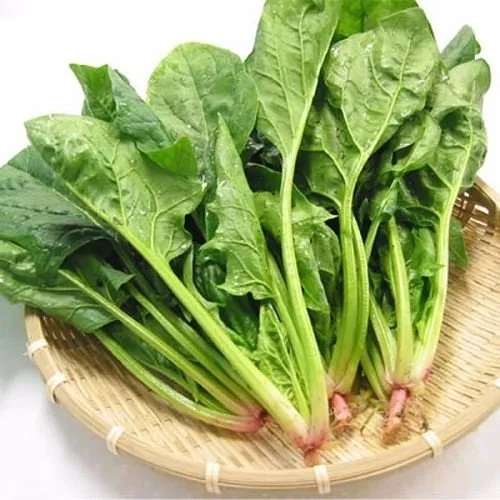 9 loại rau dễ trồng dịp Tết - Cải bó xôi